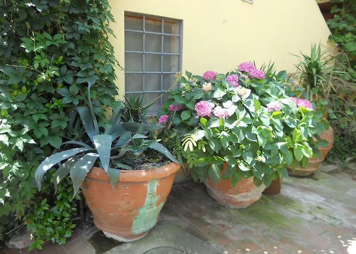 Agriturismo Le Macine Firenze